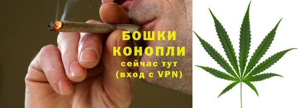трава Зерноград
