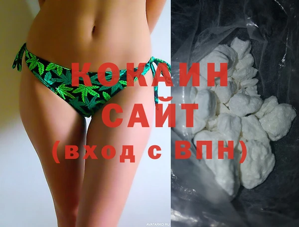 СК Инта