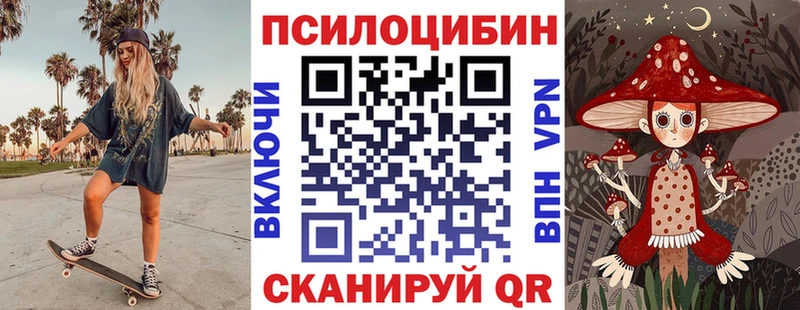 omg вход  площадка телеграм  Галлюциногенные грибы Psilocybe  Ессентуки 