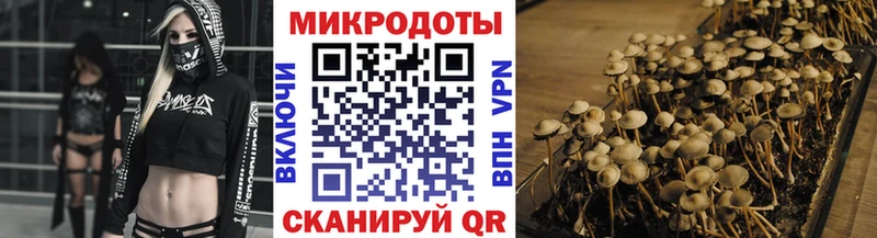 Псилоцибиновые грибы мицелий Ессентуки